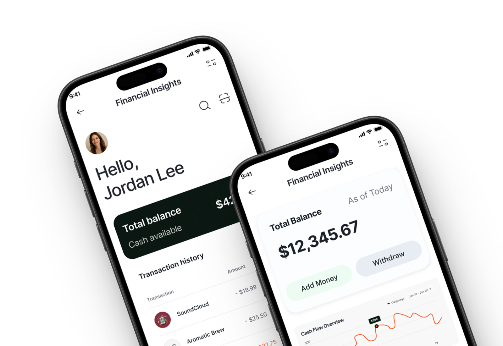 BirdPay financial dashboard preview
